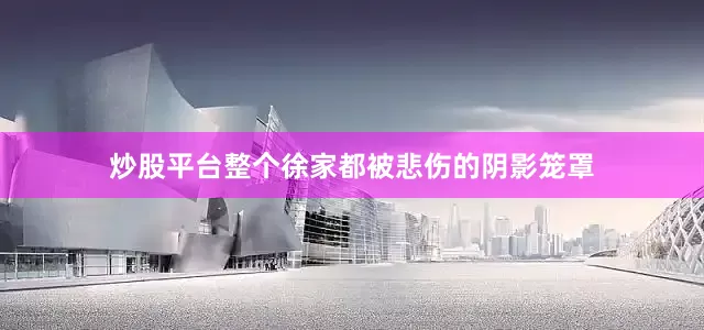 炒股平台整个徐家都被悲伤的阴影笼罩