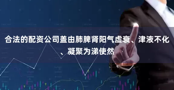 合法的配资公司盖由肺脾肾阳气虚衰、津液不化、凝聚为涕使然