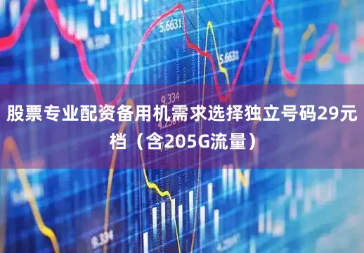 股票专业配资备用机需求选择独立号码29元档（含205G流量）
